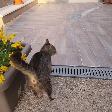 B&B Villa La Ginestra Boscoreale Dış mekan fotoğraf