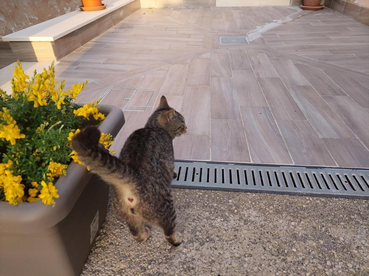 B&B Villa La Ginestra Boscoreale Dış mekan fotoğraf